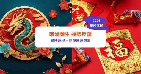 2024年生肖運程猪|【屬豬2024生肖運勢】暗湧頻生，運勢反覆｜屬豬運 